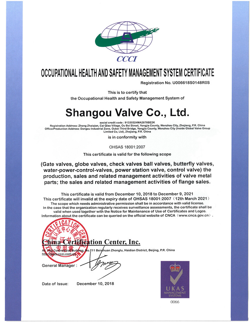 ISO18001 2007�I(y��)���������wϵ�J(r��n)�C��Ӣ�ģ�.jpg